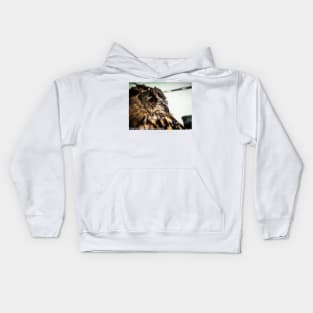 Tawny owl in colour 1 Kids Hoodie